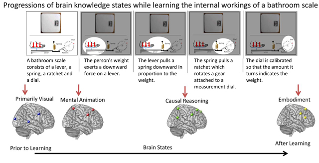 brainprocessestechnicalinfo_640x327.jpg