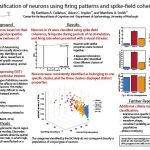 Kathleen_Callahan's Poster