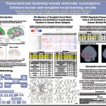 Siddharth_Annaldasula's poster